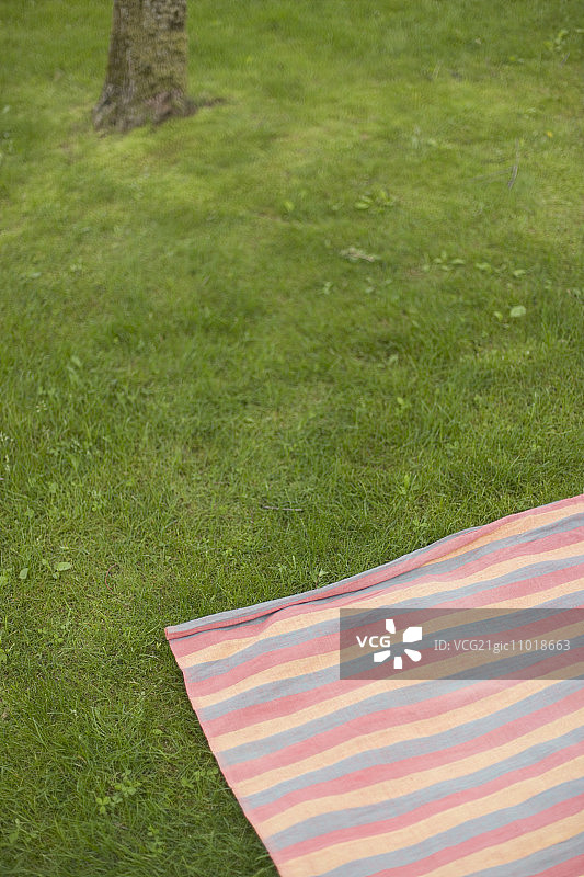 草坪上的野餐垫图片素材