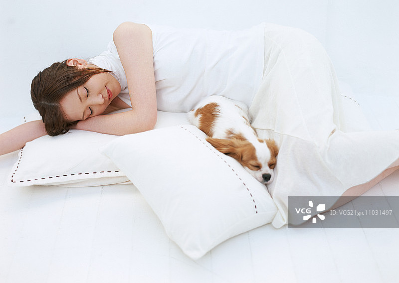 与宠物小憩图片素材