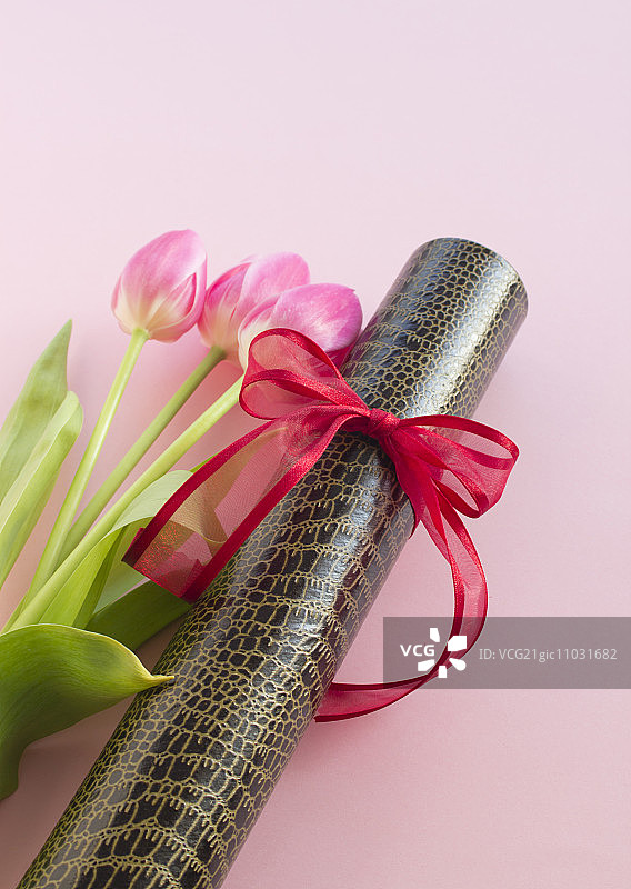 文凭证书和郁金香图片素材