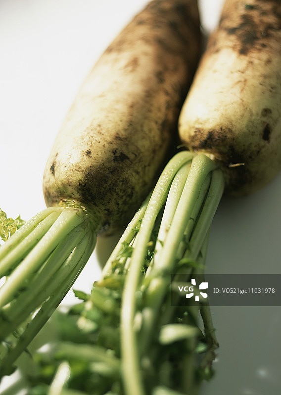 日式萝卜图片素材