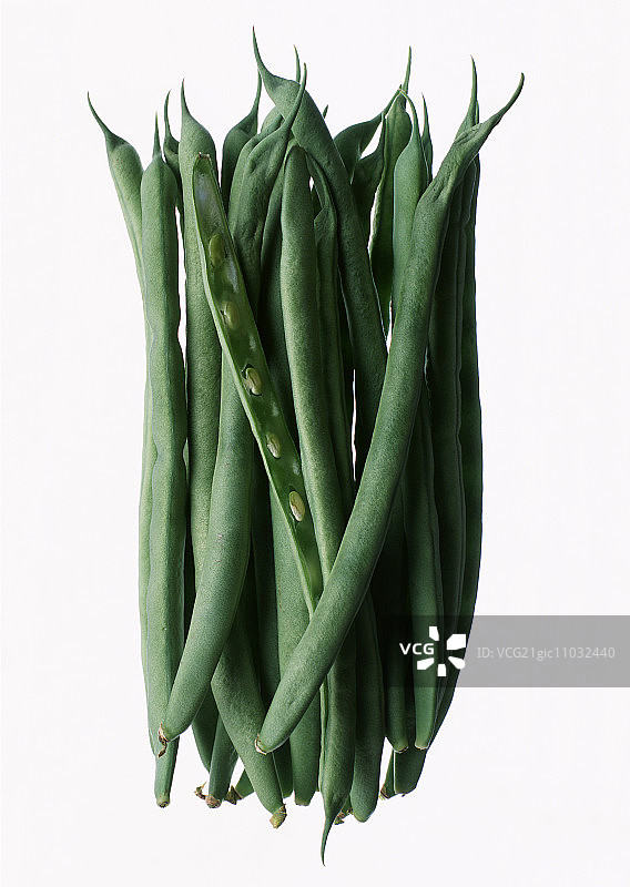 四季豆图片素材