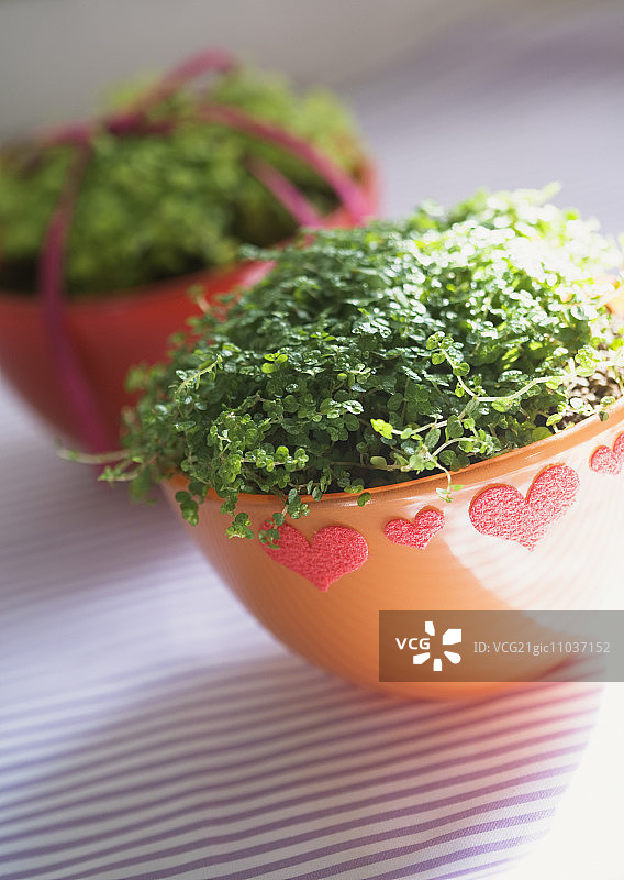 婴儿的眼泪图片素材