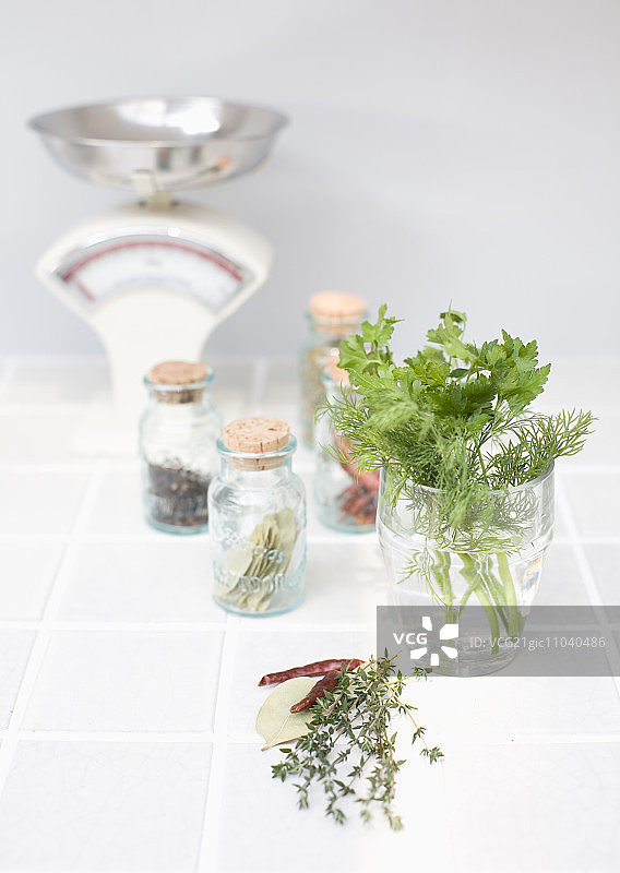 香料和香草图片素材