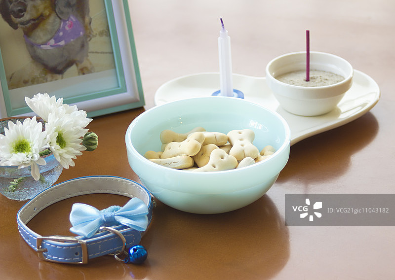 宠物葬礼图片图片素材