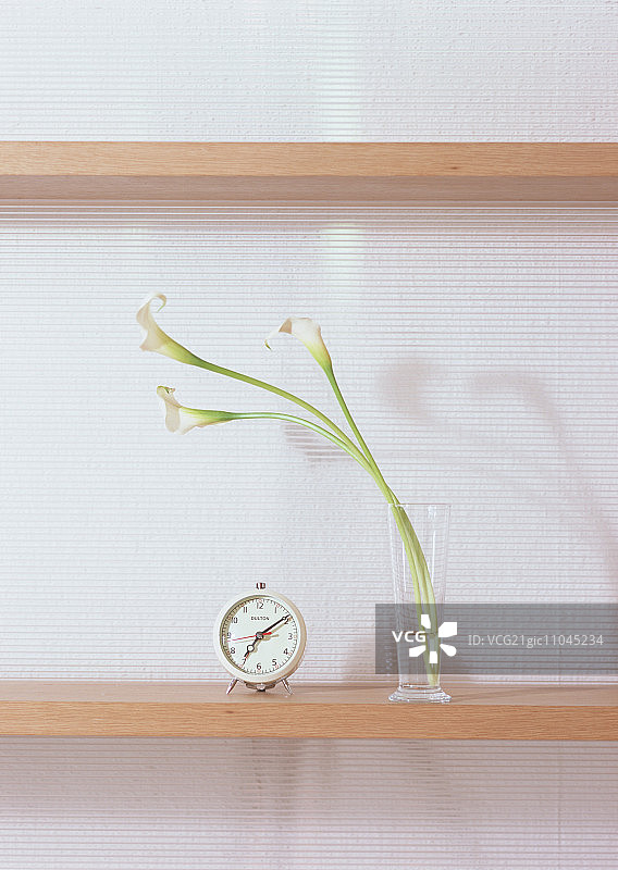 马蹄莲与闹钟图片素材