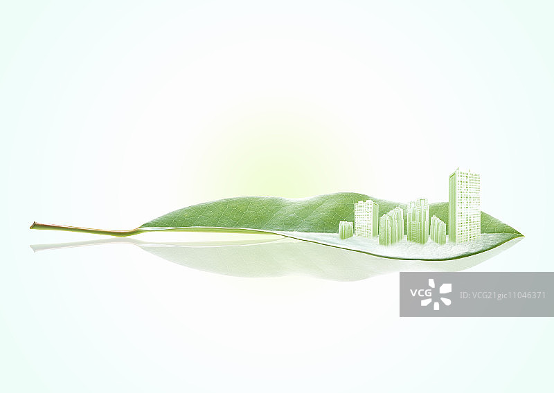 树叶上的建筑图片素材