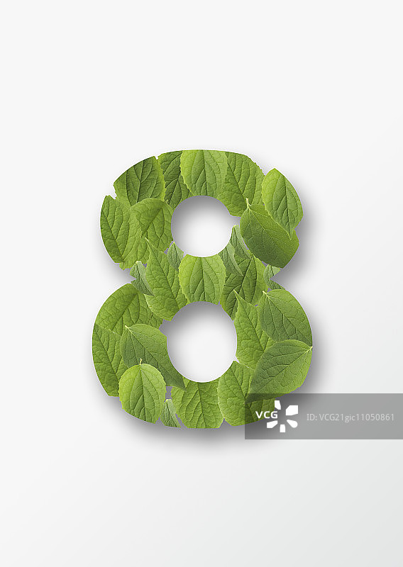 树叶编号图片素材