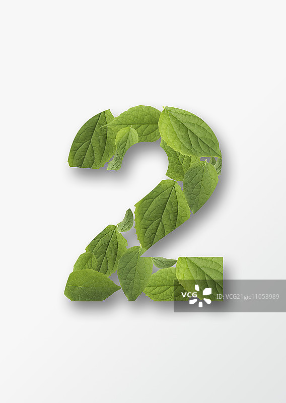 树叶编号图片素材