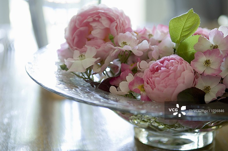 木桌上的玻璃粉色玫瑰花盘图片素材