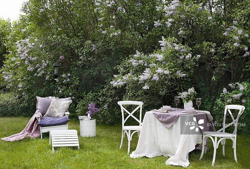 盛开丁香花的田园花园，前景为餐桌和带舒适靠垫的花园椅图片素材