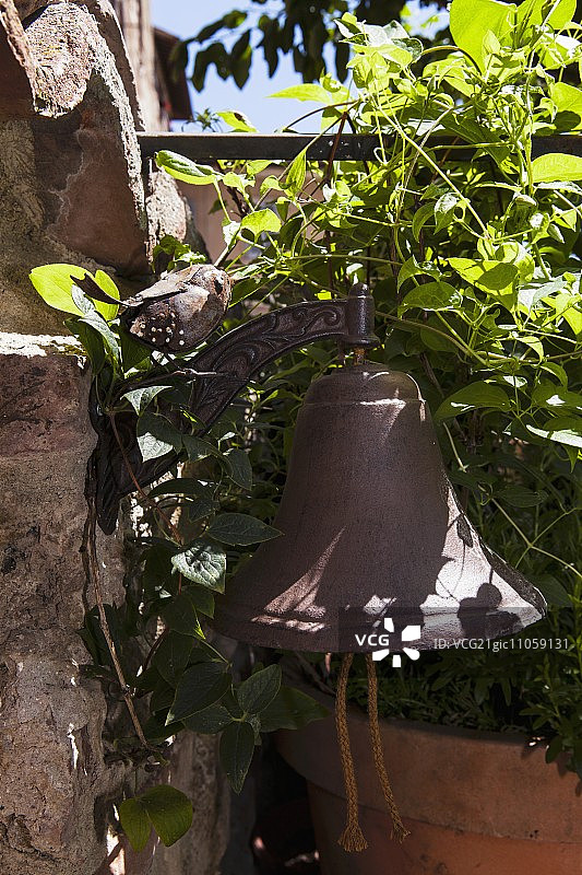 花园中被攀援植物环绕的复古铃铛图片素材