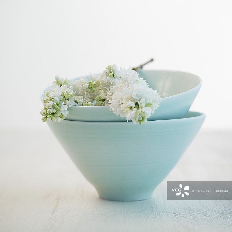 淡蓝色陶瓷碗中的白色丁香花图片素材