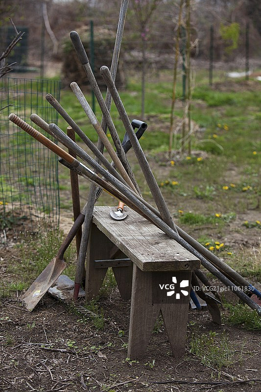 长凳上的花园工具图片素材