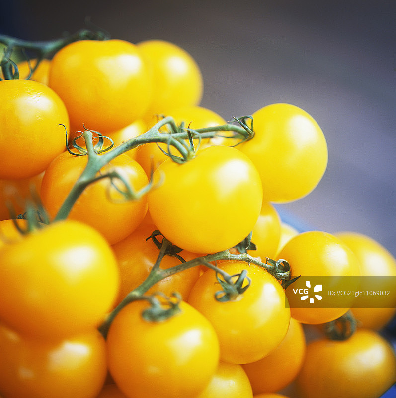 黄色葡萄番茄图片素材