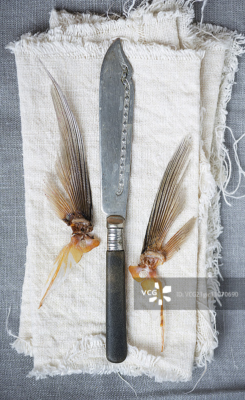 亚麻布上的鱼刀和鱼鳍图片素材