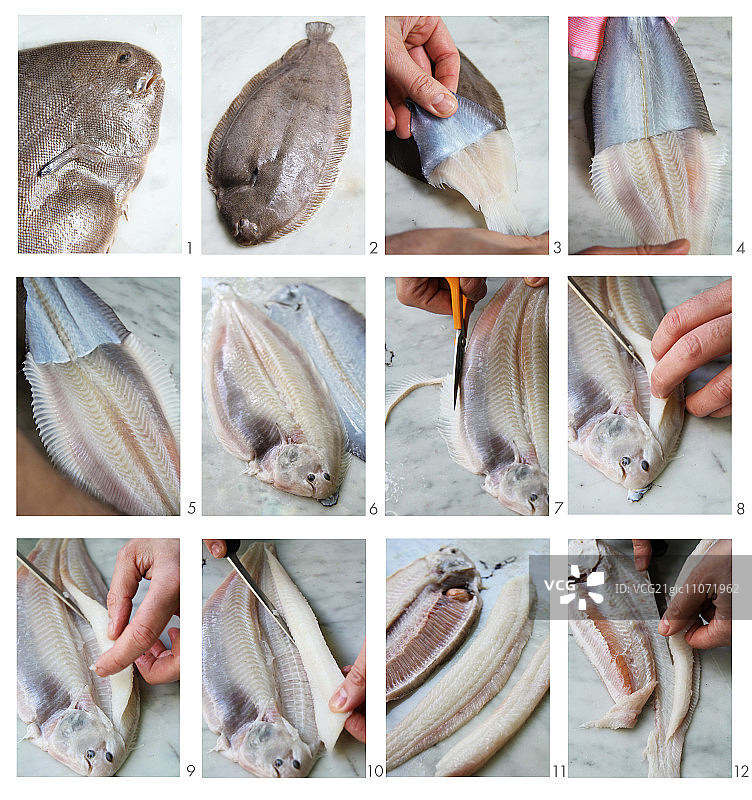 正在做成鱼片的鳎目鱼图片素材