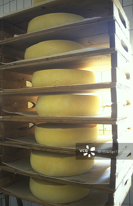 成熟室内架子上的芒斯特奶酪（法国，阿尔萨斯）图片素材