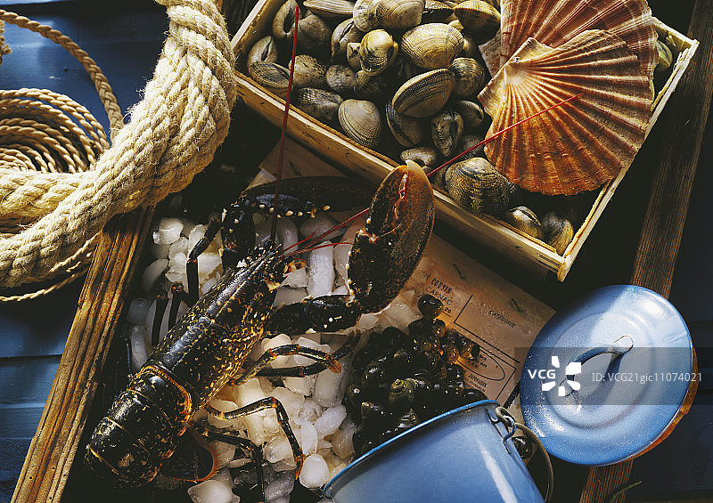 冰鲜龙虾和碗里的各种贝壳图片素材