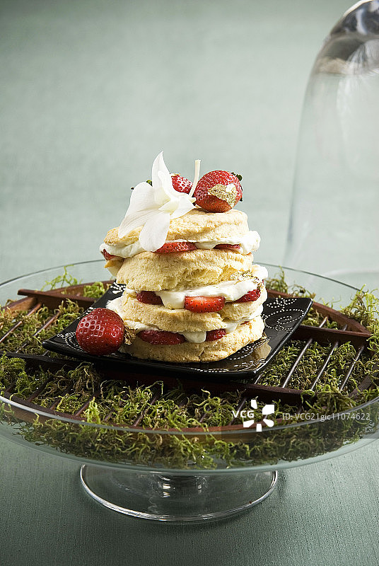 玻璃器皿中苔藓上的草莓奶油蛋糕图片素材