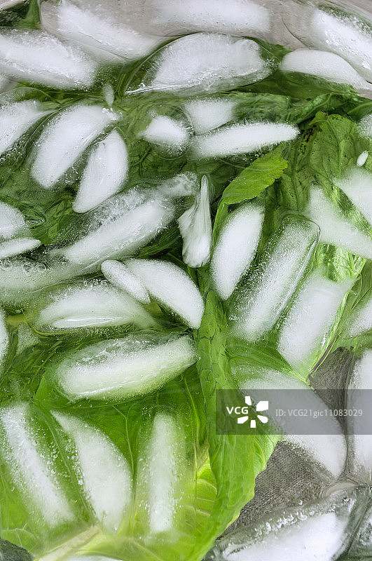 冰水中的沙拉叶图片素材