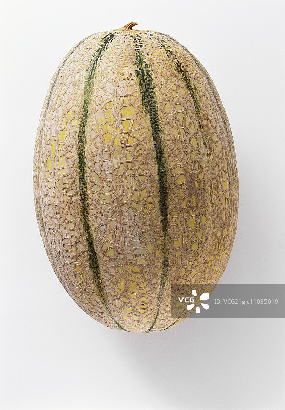 带绿色条纹的网纹瓜图片素材