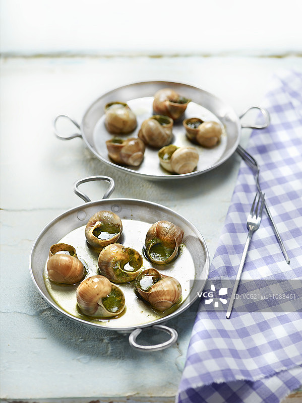 食用蜗牛图片素材