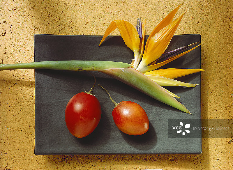 树番茄图片素材