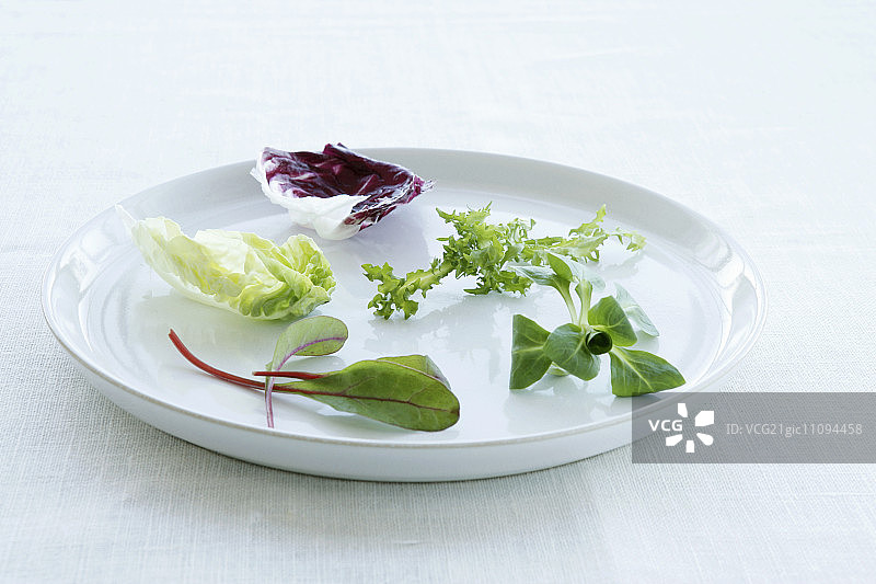 盘中的什锦沙拉叶图片素材