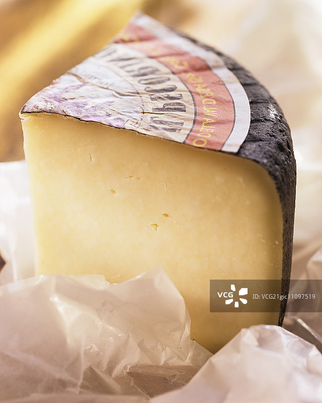 白纸上的佩科里诺奶酪图片素材