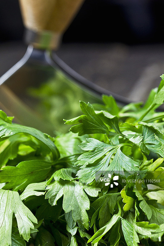平叶欧芹与弯月刀图片素材