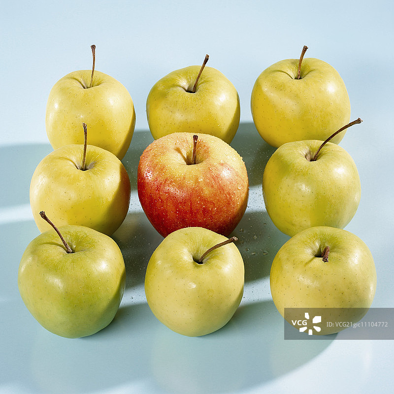 九个金冠苹果图片素材