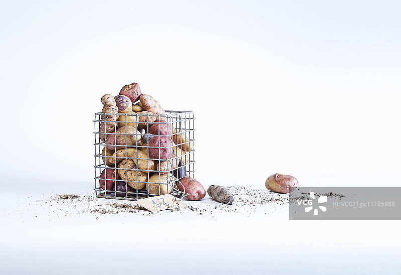 金属篮子里的各种马铃薯品种图片素材