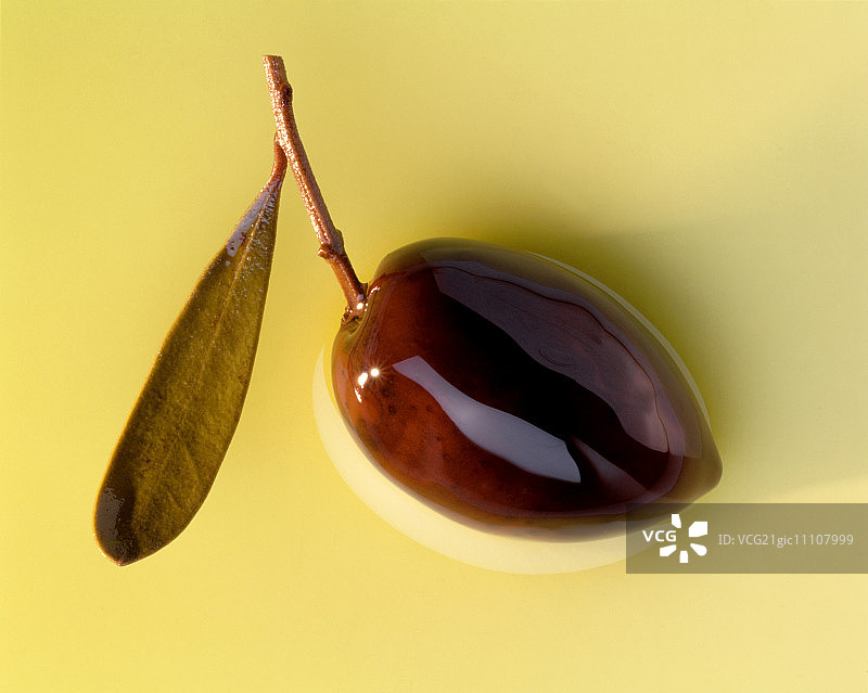 油中的橄榄枝图片素材