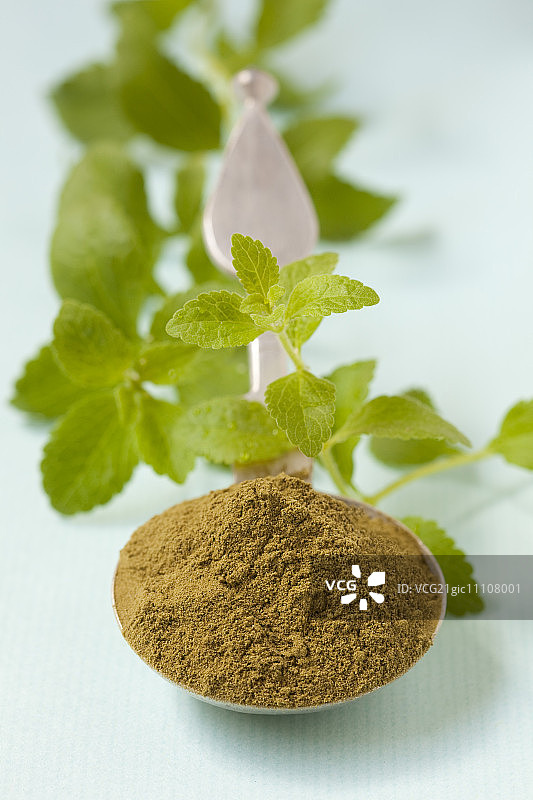 甜叶菊粉与甜叶菊叶图片素材