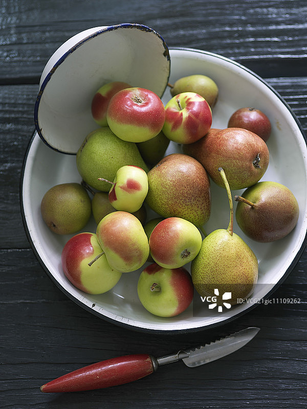 什锦苹果和梨：Forelle梨、Seckel梨和红玉苹果图片素材