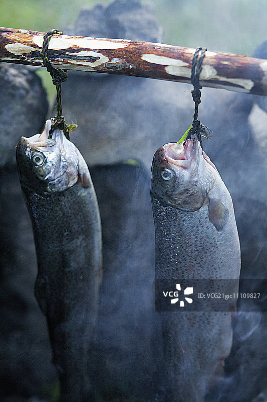 自制烟熏炉中悬挂的烟熏鱼图片素材
