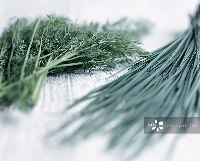 莳萝和韭菜图片素材