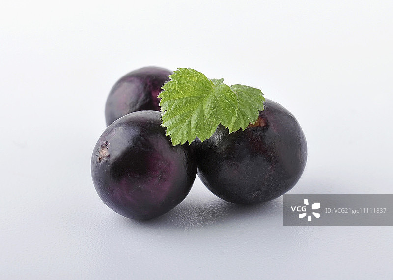 三个阿萨伊浆果和一片叶子，白色背景图片素材