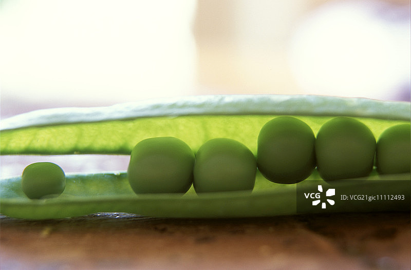 打开的豌豆荚图片素材