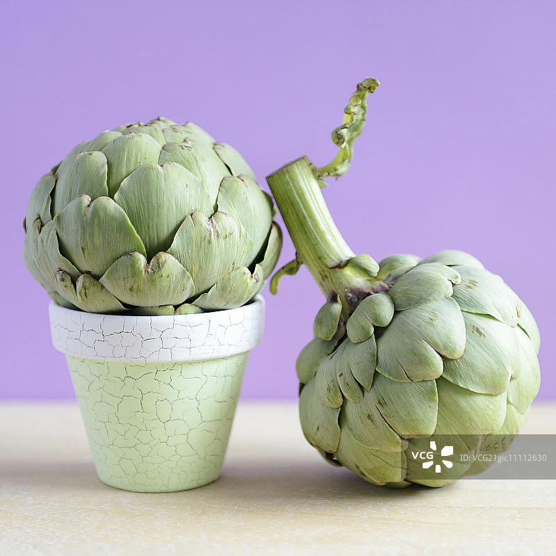 两颗迷你朝鲜蓟，一颗在小花盆里图片素材