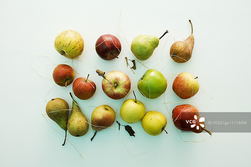 苹果和梨静物图片素材