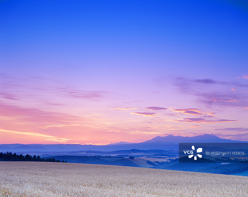 麦田与大雪山日出图片素材