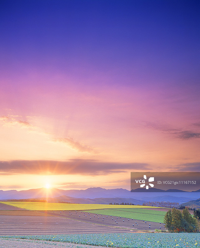 日出时分的十胜岳和原野图片素材