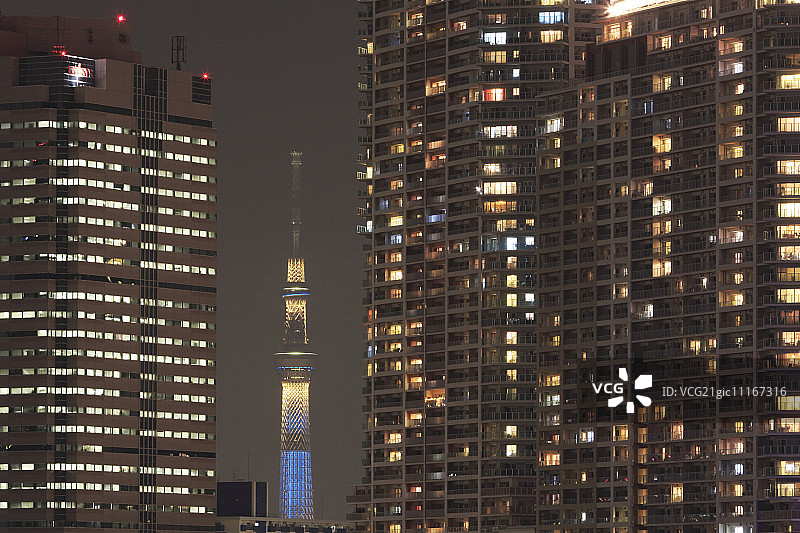夜幕下的丰洲与东京晴空塔图片素材