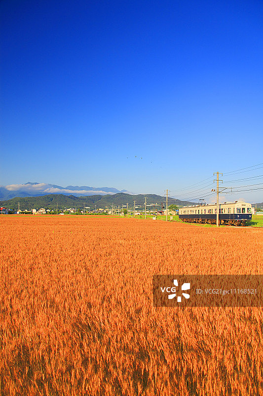 浅间山、乌帽子山、麦田与别所线列车图片素材