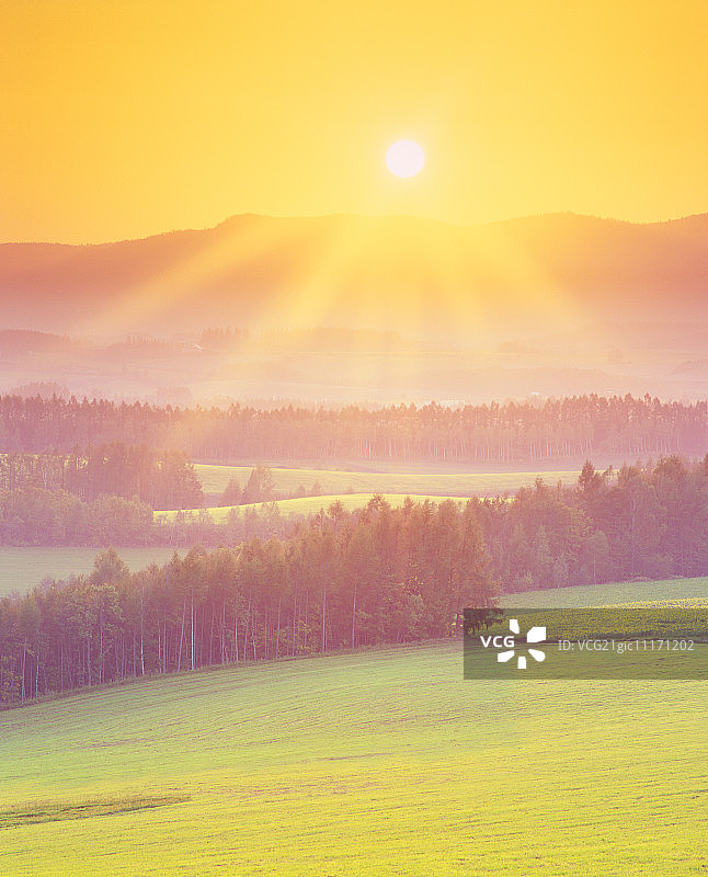 阳光下的风景图片素材