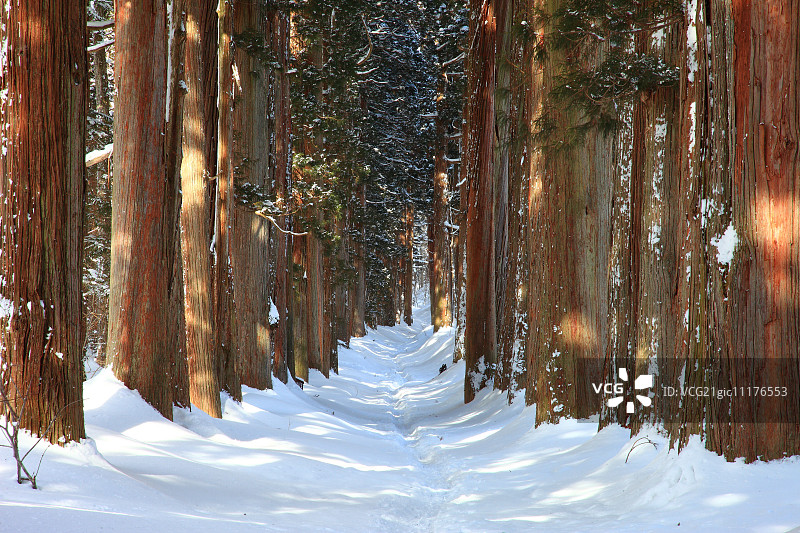 日本长野Prefecture,图片素材