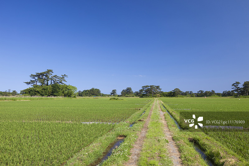 日本秋田Prefecture,图片素材