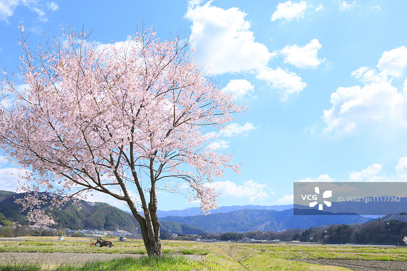 日本长野Prefecture,图片素材