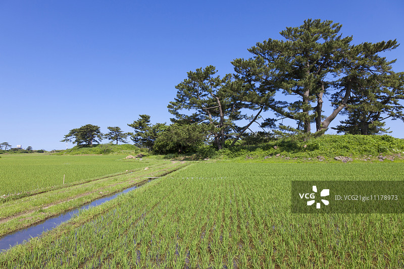 日本秋田Prefecture,图片素材